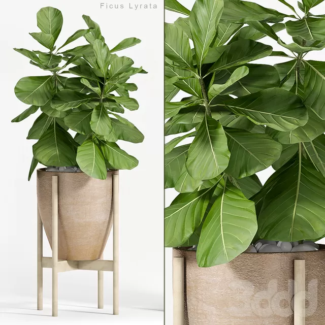 3DSKY PRO MODEL - PLANT 3D MODELS