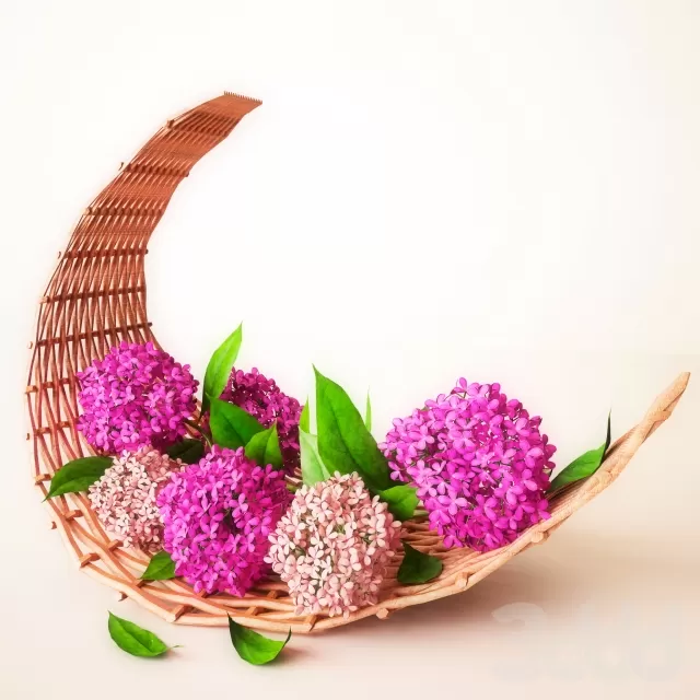 3DSKY PRO MODEL - PLANT 3D MODEL 