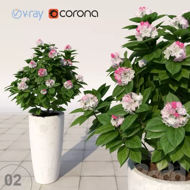 3DSKY PRO MODEL - PLANT 3D MODELS