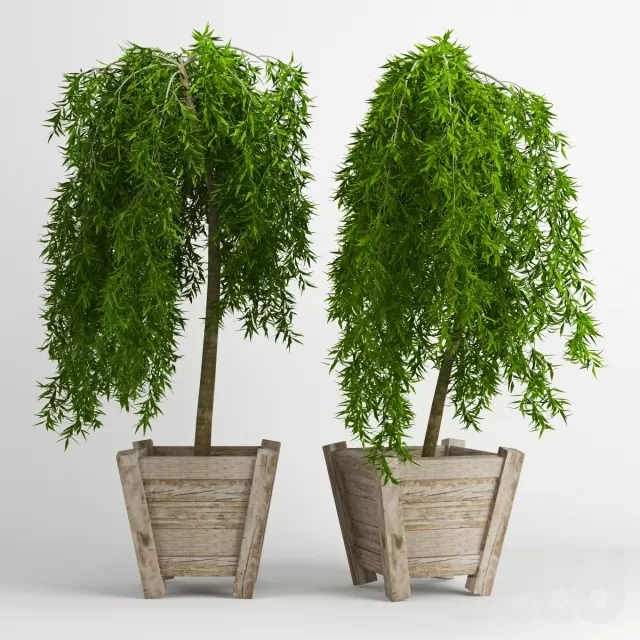 3DSKY PRO MODEL - PLANT 3D MODELS