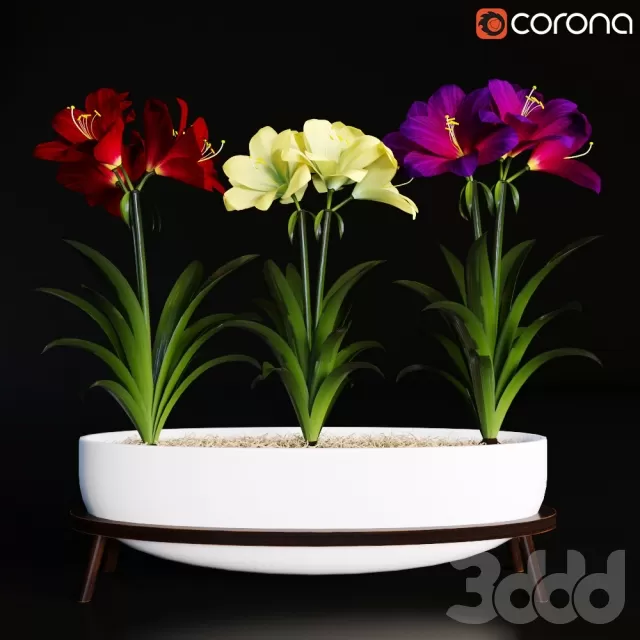 3DSKY PRO MODEL - PLANT 3D MODELS