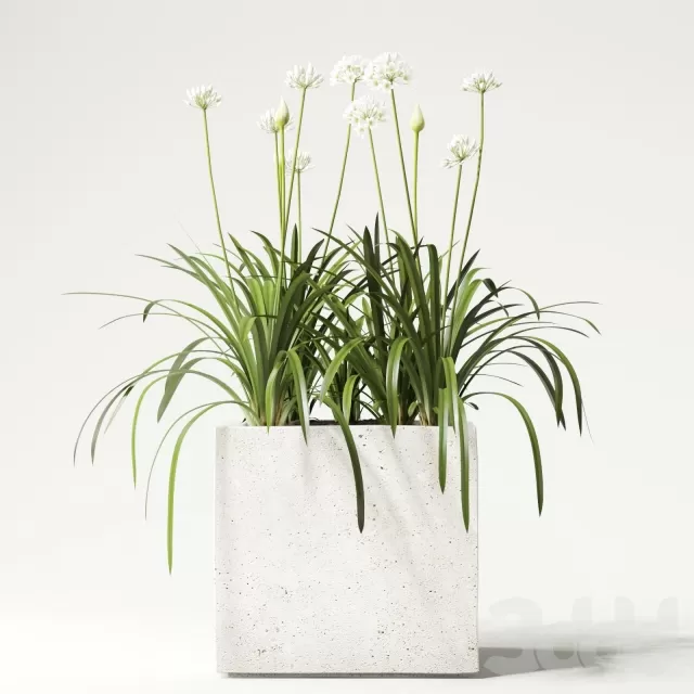 3DSKY PRO MODEL - PLANT 3D MODELS