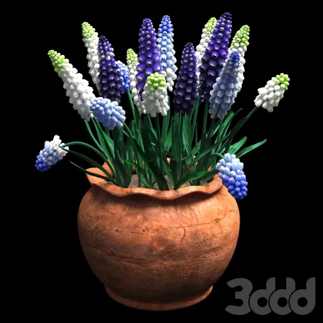 3DSKY PRO MODEL - PLANT 3D MODEL 