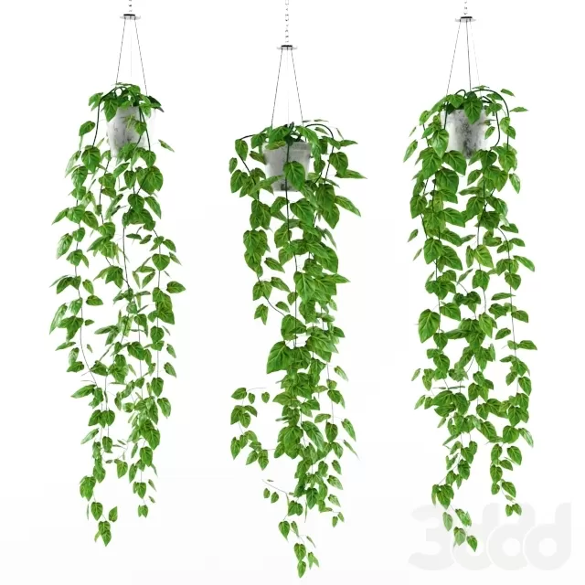 3DSKY PRO MODEL - PLANT 3D MODELS