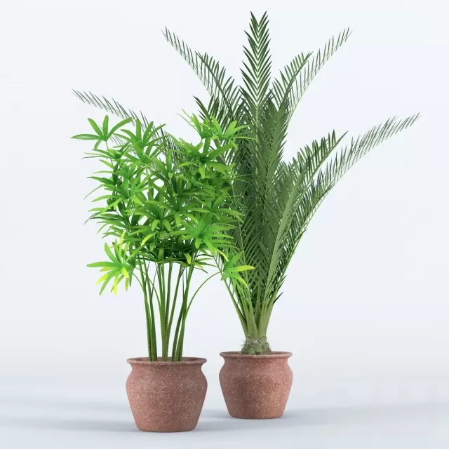 3DSKY PRO MODEL - PLANT 3D MODELS