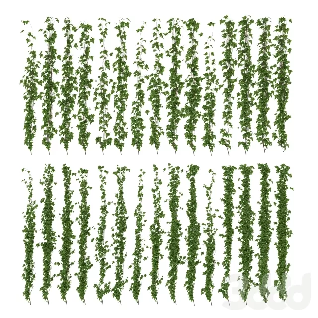 3DSKY PRO MODEL - PLANT 3D MODELS