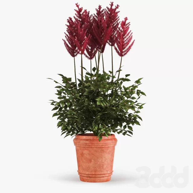 3DSKY PRO MODEL - PLANT 3D MODELS