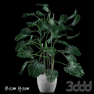 3DSKY PRO MODEL - PLANT 3D MODELS
