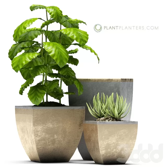 3DSKY PRO MODEL - PLANT 3D MODELS