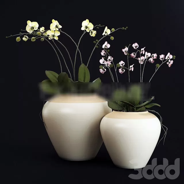 3DSKY PRO MODEL - PLANT 3D MODELS