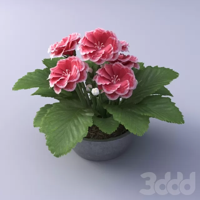 3DSKY PRO MODEL - PLANT 3D MODELS