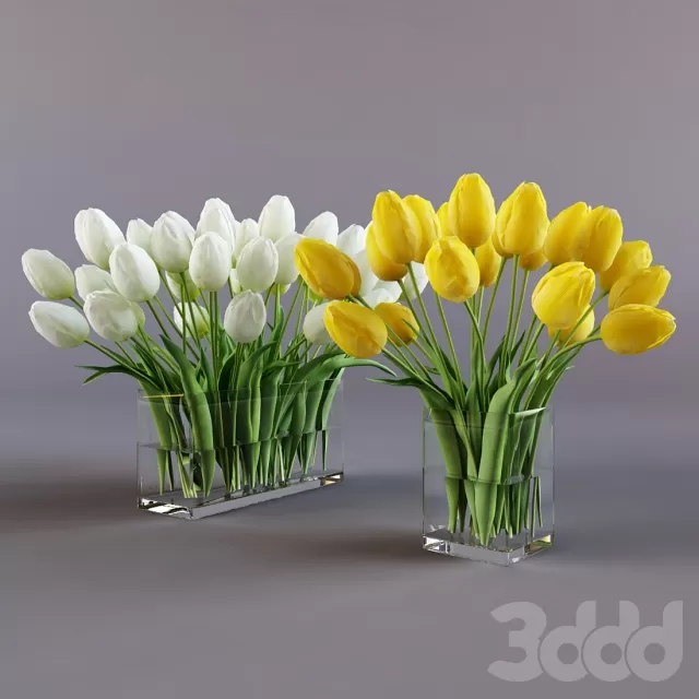 3DSKY PRO MODEL - PLANT 3D MODELS