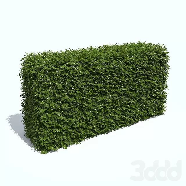 3DSKY PRO MODEL - PLANT 3D MODELS