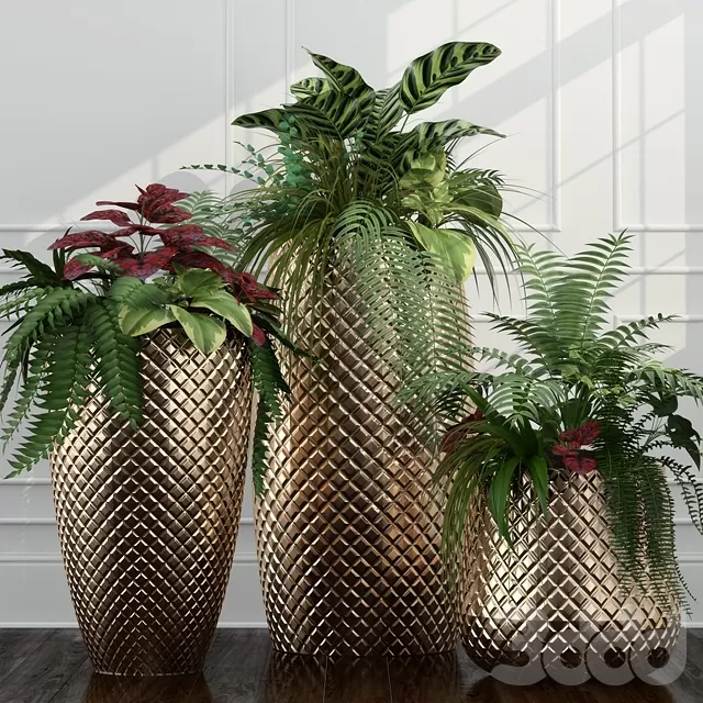 3DSKY PRO MODEL - PLANT 3D MODELS