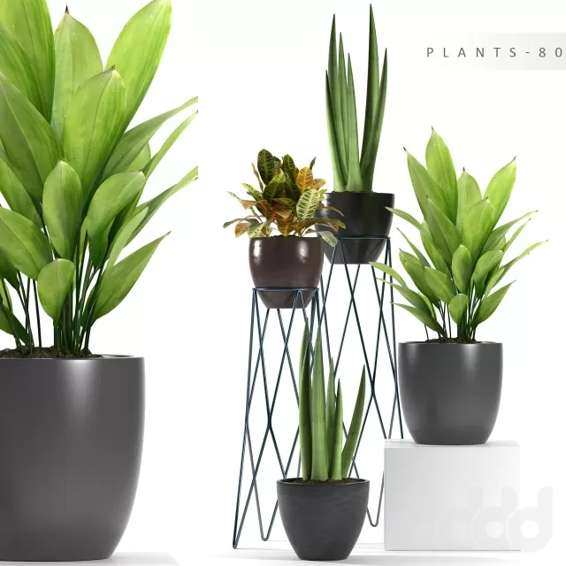 3DSKY PRO MODEL - PLANT 3D MODEL 