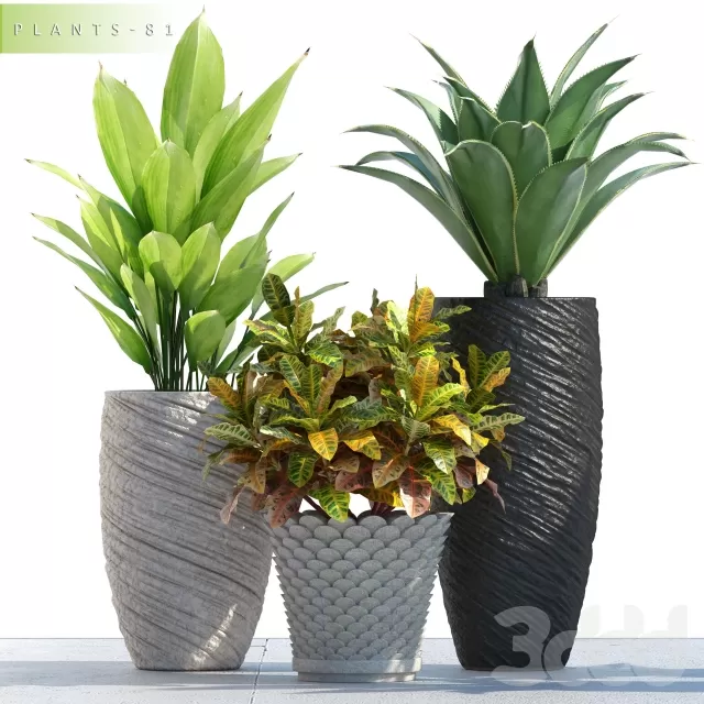 3DSKY PRO MODEL - PLANT 3D MODELS