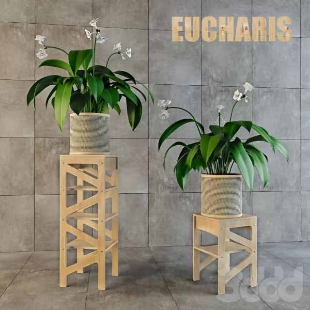 3DSKY PRO MODEL - PLANT 3D MODELS