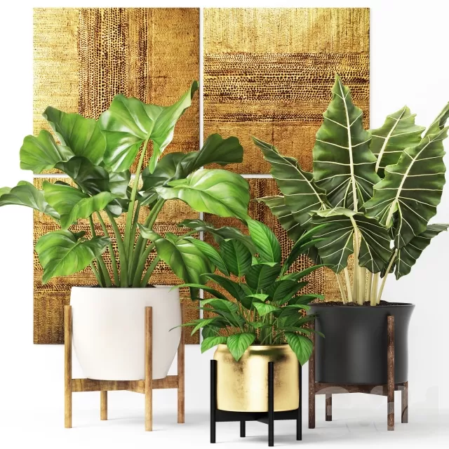 3DSKY PRO MODEL - PLANT 3D MODELS