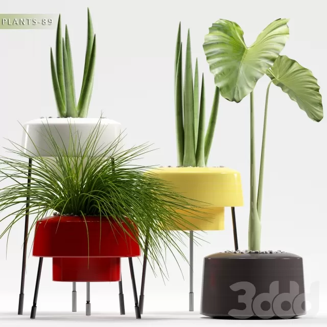 3DSKY PRO MODEL - PLANT 3D MODELS