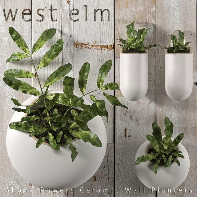 3DSKY PRO MODEL - PLANT 3D MODELS