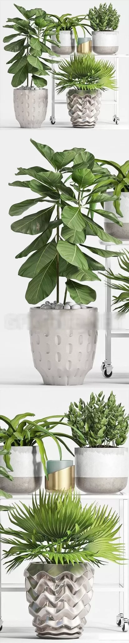 3DSKY PRO MODEL - PLANT 3D MODELS