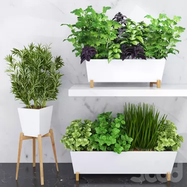 3DSKY PRO MODEL - PLANT 3D MODELS