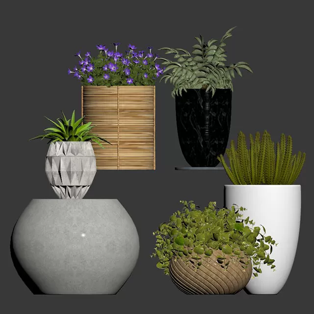 3DSKY PRO MODEL - PLANT 3D MODELS