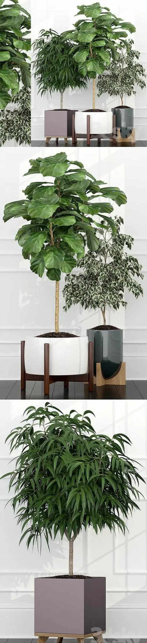 3DSKY PRO MODEL - PLANT 3D MODELS