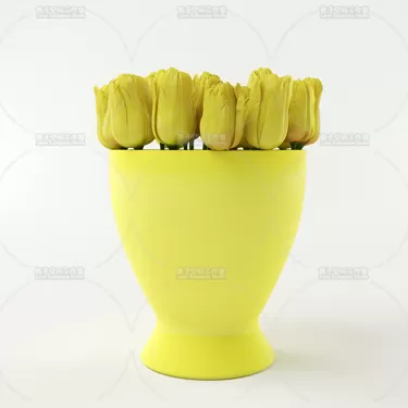 3DSKY PRO MODEL - PLANT 3D MODELS