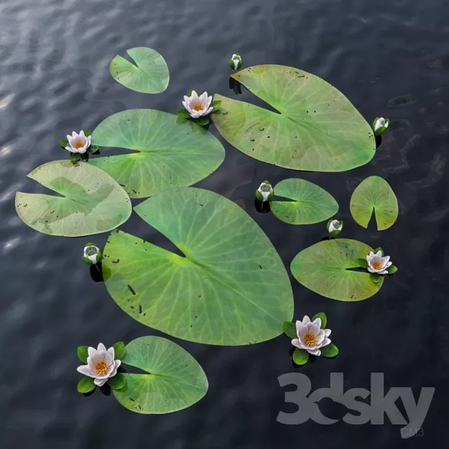 3DSKY PRO MODEL - PLANT 3D MODEL 