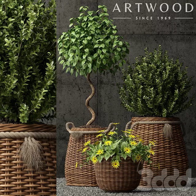 3DSKY PRO MODEL - PLANT 3D MODELS