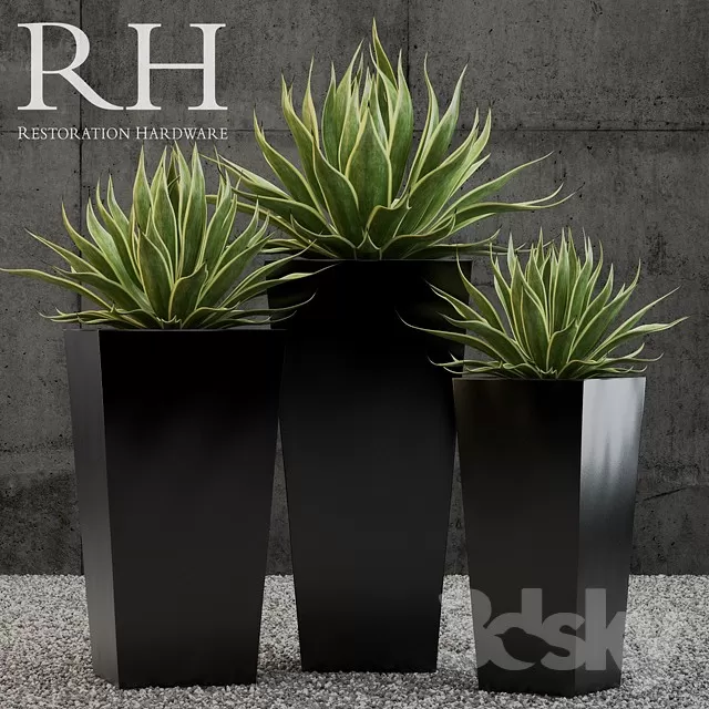 3DSKY PRO MODEL - PLANT 3D MODELS