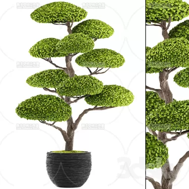 3DSKY PRO MODEL - PLANT 3D MODELS