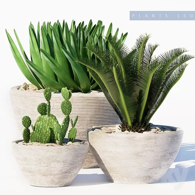 3DSKY PRO MODEL - PLANT 3D MODEL 