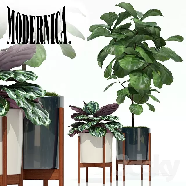 3DSKY PRO MODEL - PLANT 3D MODELS