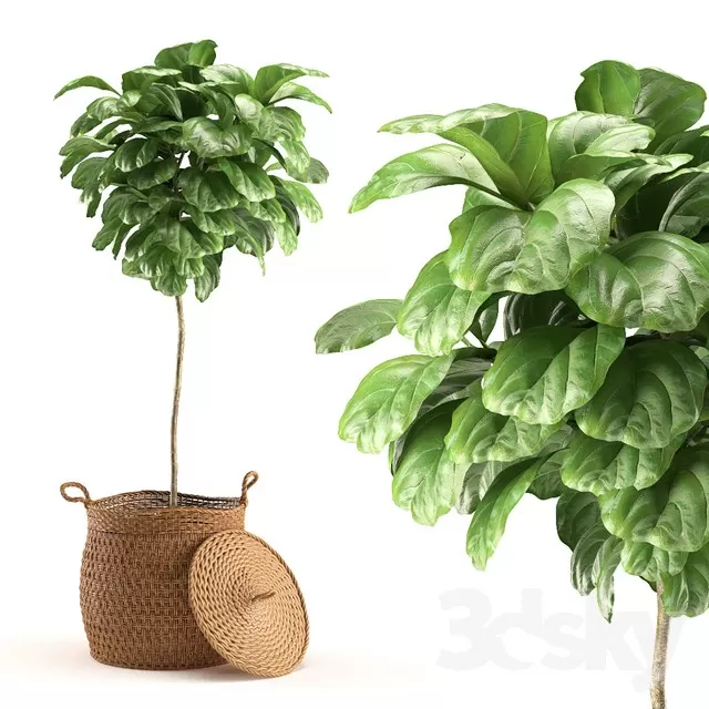 3DSKY PRO MODEL - PLANT 3D MODELS