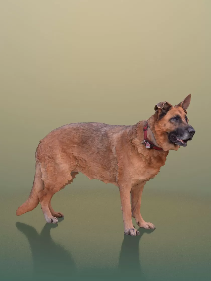 3DSKY PRO MODELS – 3D HUMAN