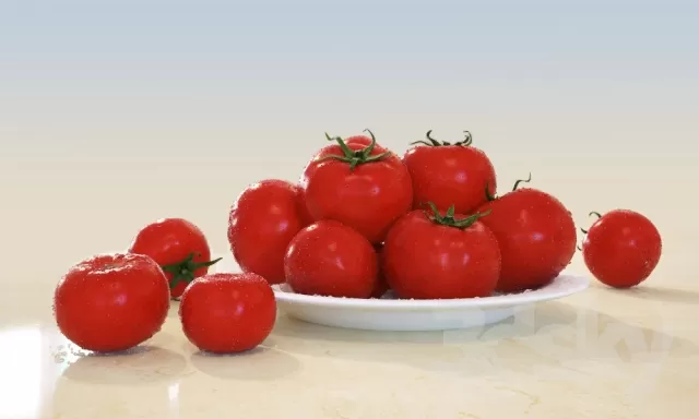 3DSKY PRO MODELS – KITCHEN 3DSKYMODELS