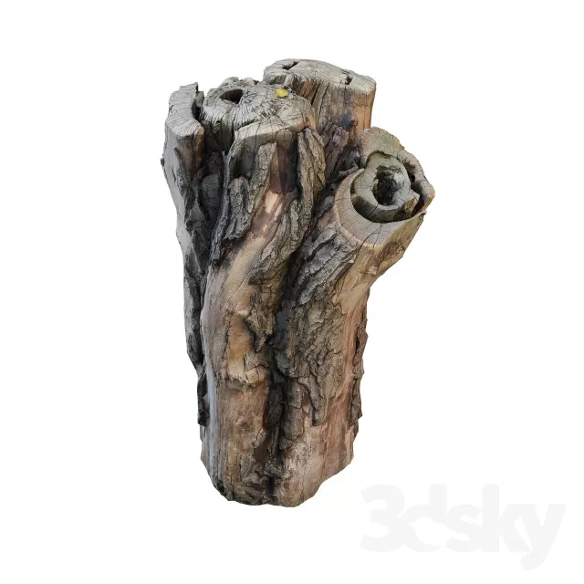 3DSKY PRO MODELS – 365