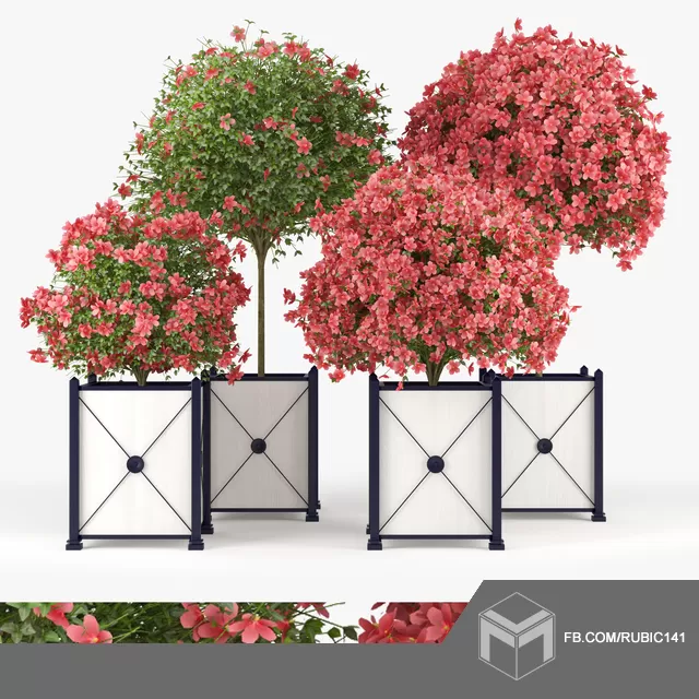 3DSKY PRO MODELS – 006