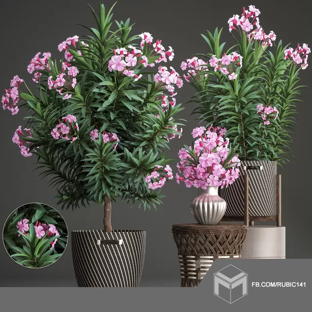 3DSKY PRO MODELS – 010