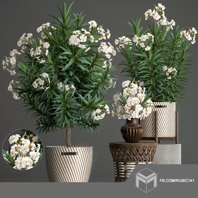3DSKY PRO MODELS – 011