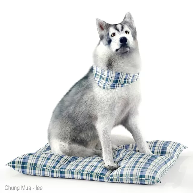 3DSKYFREE – ANIMAL 3DS MAX MODELS