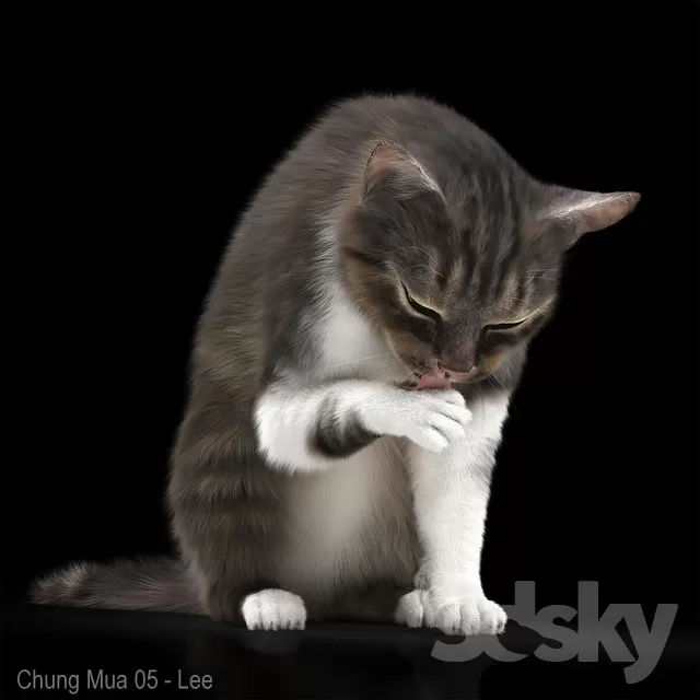 3DSKYFREE – ANIMAL 3DS MAX MODELS