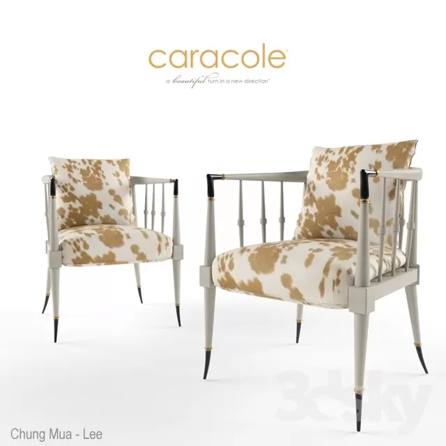 3DSKYFREE – BRAND - CARACOLE 3DS MAX MODELS