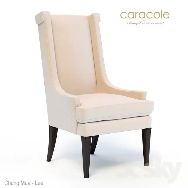 3DSKYFREE – BRAND - CARACOLE 3DS MAX MODELS