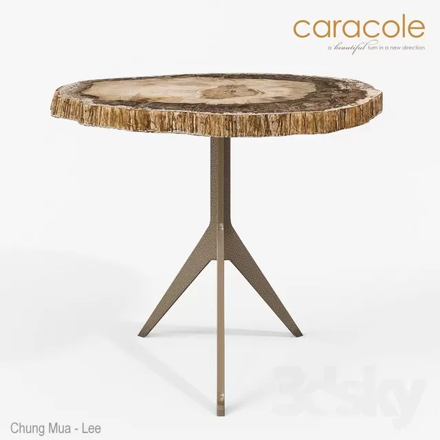 3DSKYFREE – BRAND - CARACOLE 3DS MAX MODELS