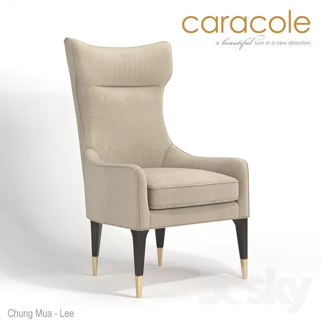 3DSKYFREE – BRAND - CARACOLE 3DS MAX MODELS