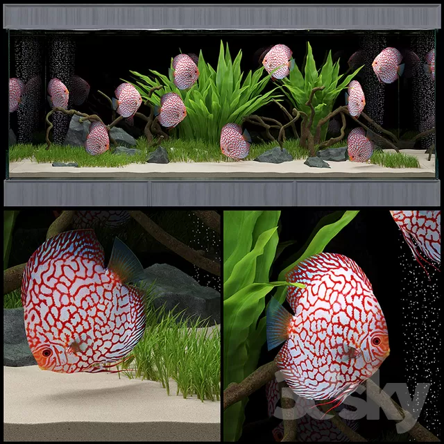 3DSKYFREE – DECOR - AQUARIUM 3DS MAX MODELS