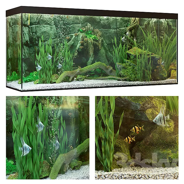 3DSKYFREE – DECOR - AQUARIUM 3DS MAX MODELS